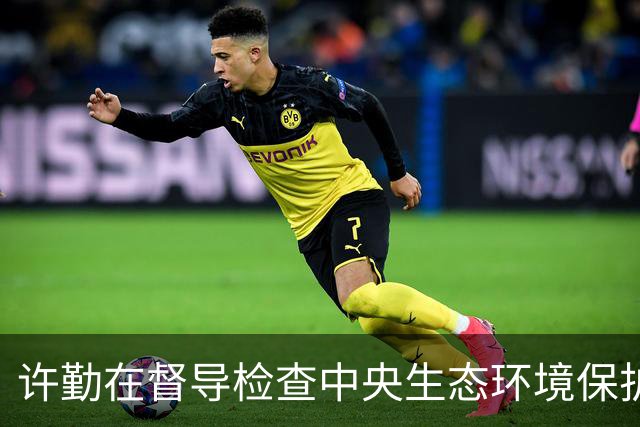 许勤在督导检查中央生态环境保护督察整改工作并巡河时强调 忠诚践行习近平生态文明思想 奋力谱写美丽中国建设龙江新篇章